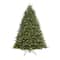7.5ft. Pre-Lit Douglas Fir Premier Artificial Christmas Tree, Clear Lights